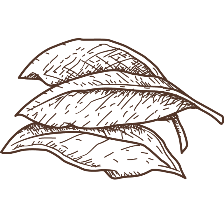 Apply For Membership Canadian Association Of Medical Herbalists